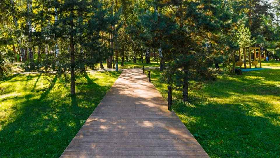 Фото: медиасток.рф