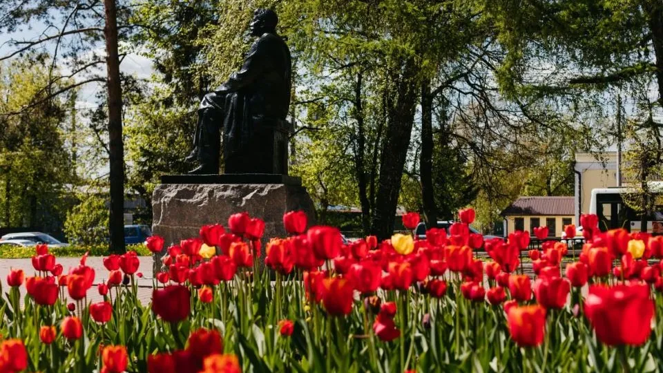 Фото: Администрация г.о. Чехов