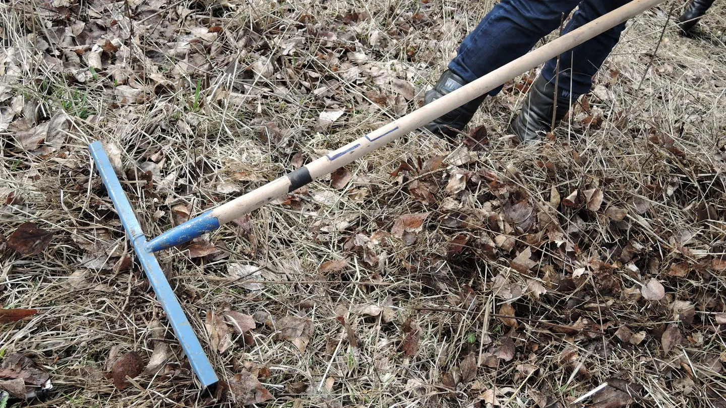 Фото: медиасток.рф