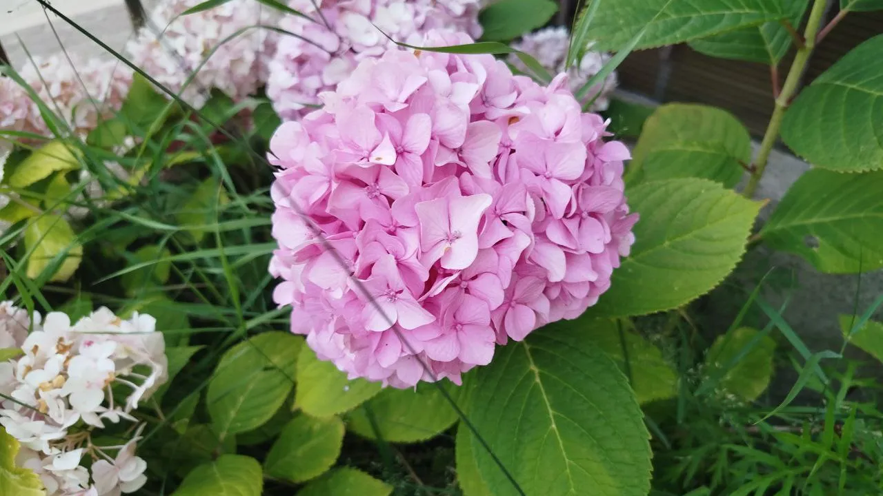 Фото: REGIONS/Юлия Куделькина