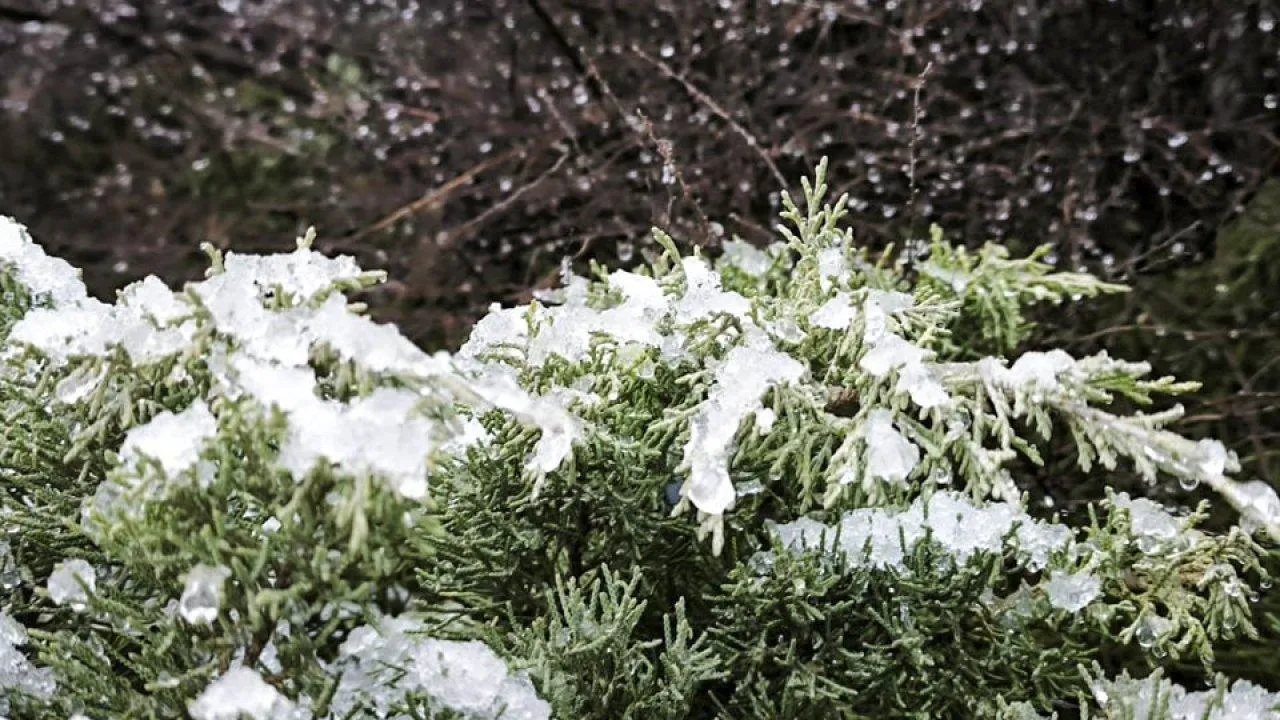 REGIONS/Роман Малышенко