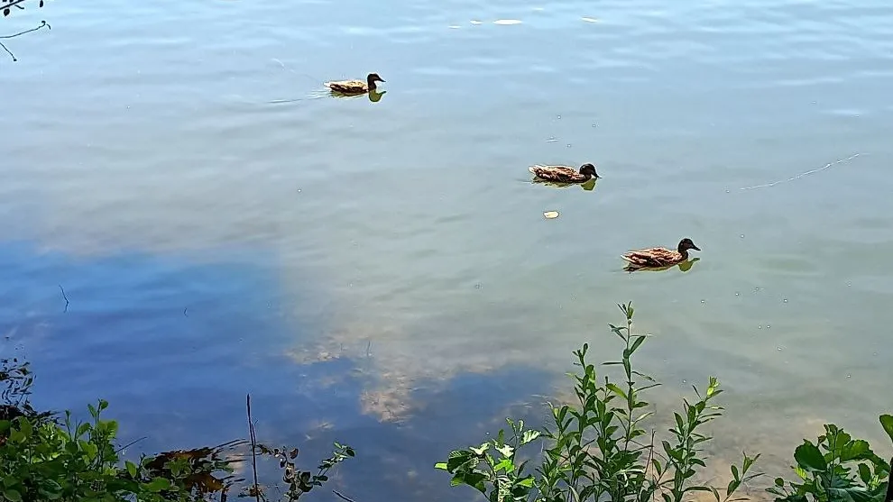 Фото: Олег Книжник