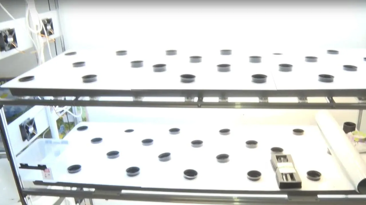 «ТВ-Комсет»