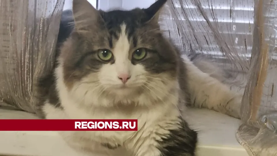 Фото: Наталья Малуха