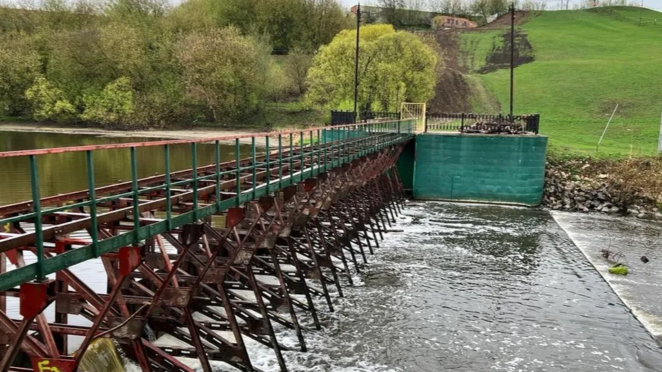 Фото: МедиаБанк Подмосковья/Галина Добрынина