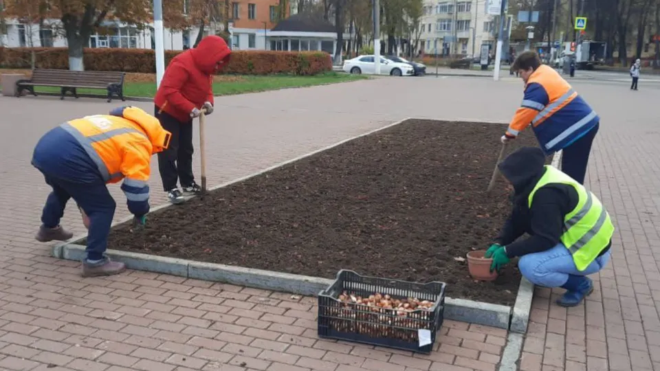 Фото: пресс-служба администрации г. о. Подольск