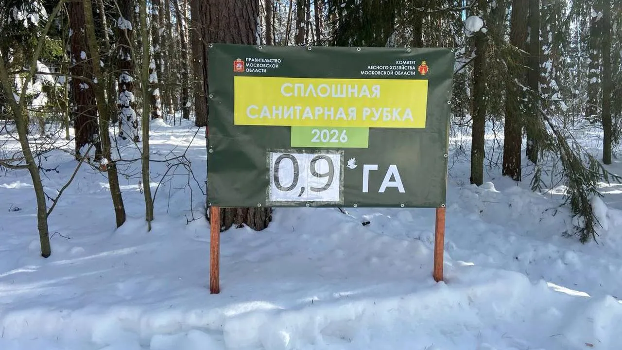 филиал «Русский лес» ГАУ МО «Мособллес»