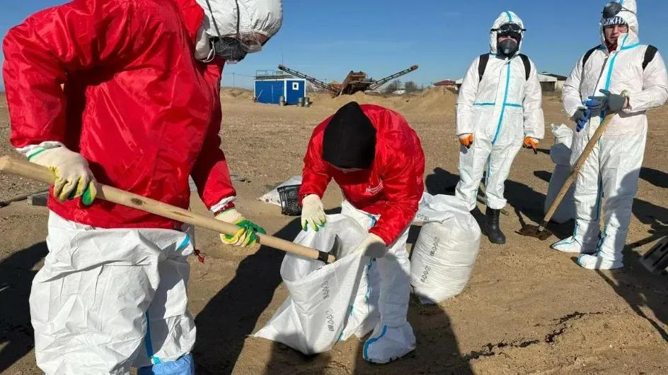 Фото: Министерство информации и молодежной политики МО