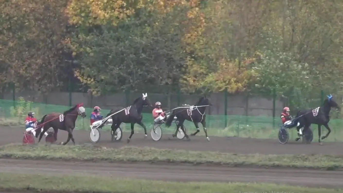 Сайт АО "Российские ипподромы"/Скриншот из видео прямой трансляции забега