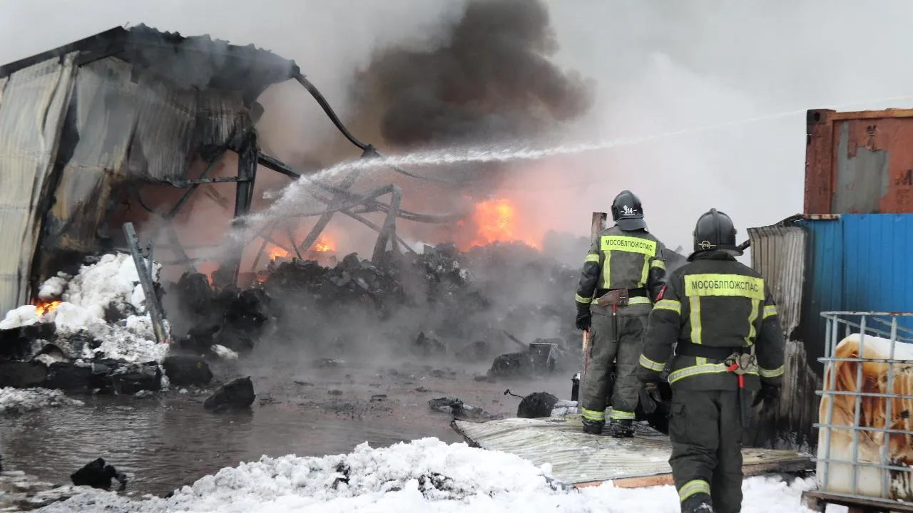 REGIONS/Василий Тремасов