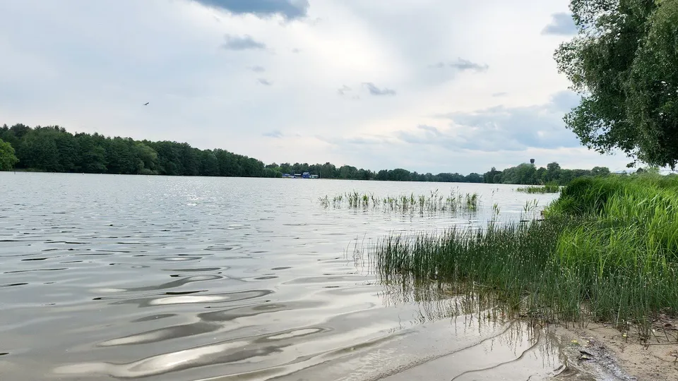 Фото: Ксения Пашуто