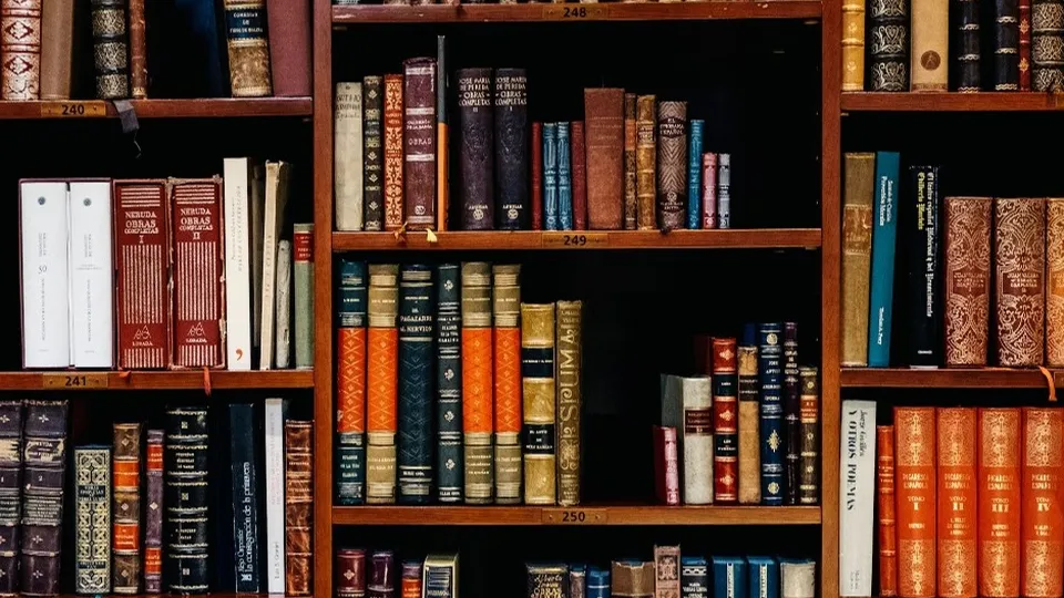 Фото: unsplash.com