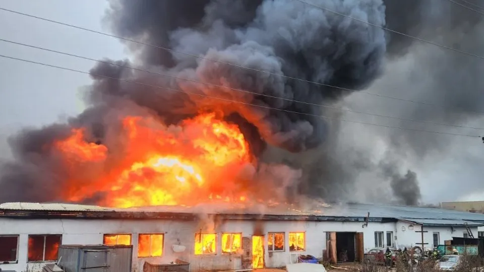 Фото: пресс-служба прокуратуры Московской области