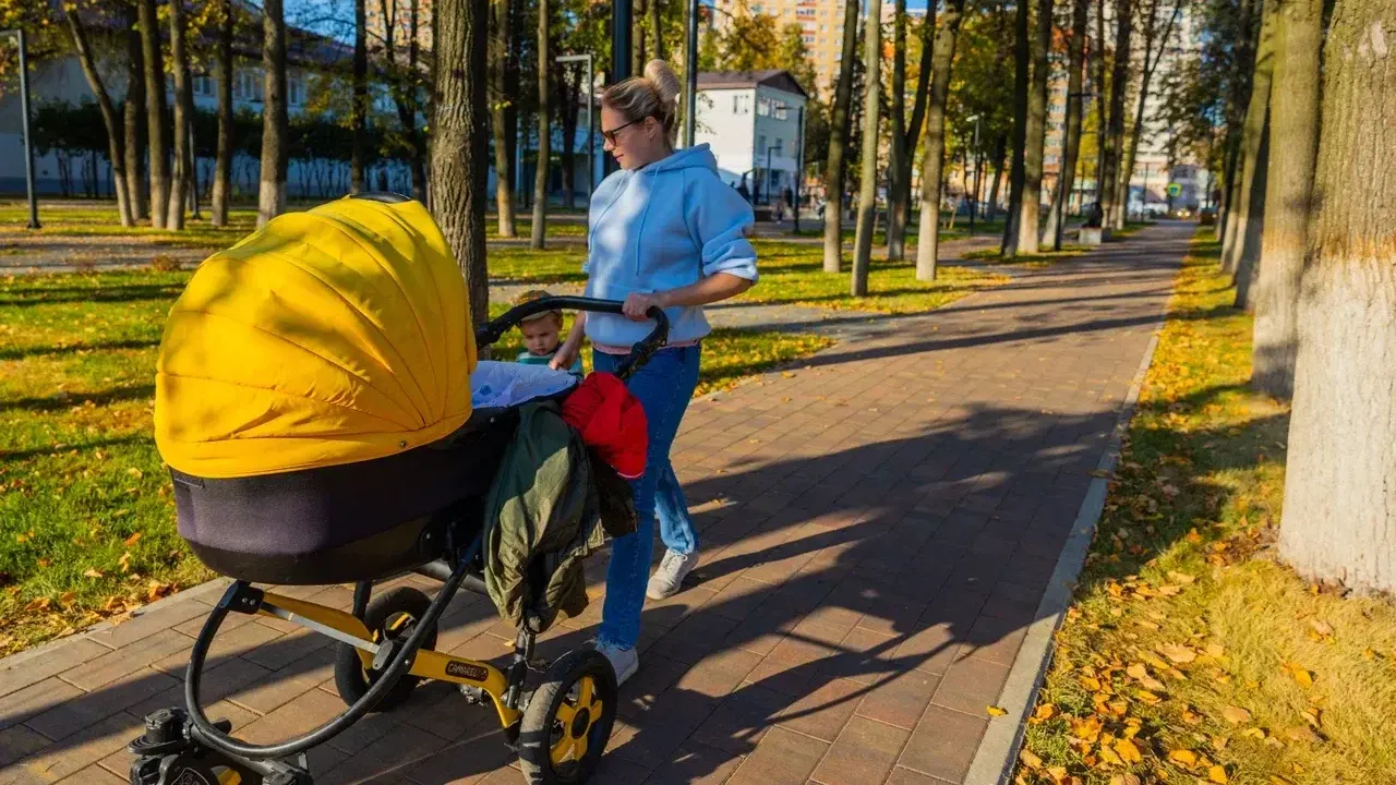 Министерство благоустройства Московской области