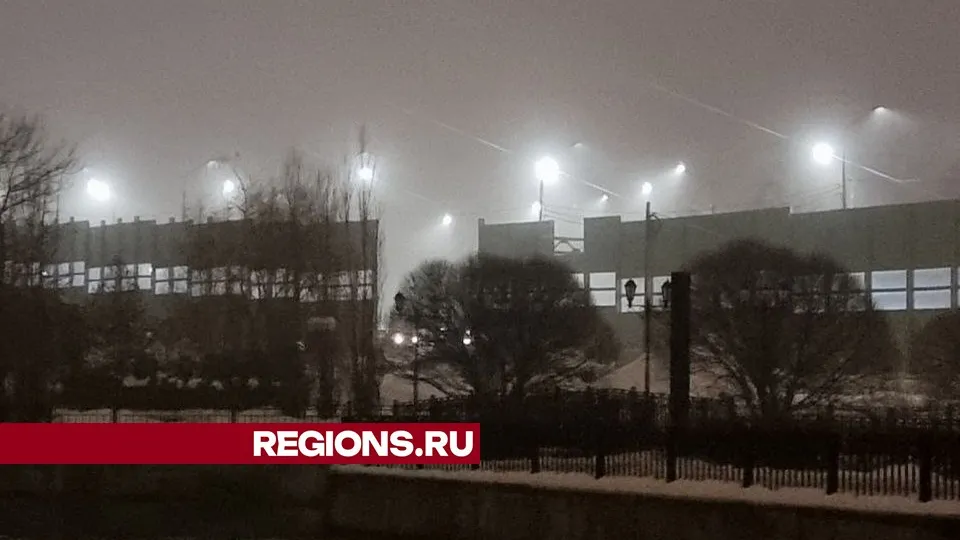 Фото: REGIONS/Юлия Алабина