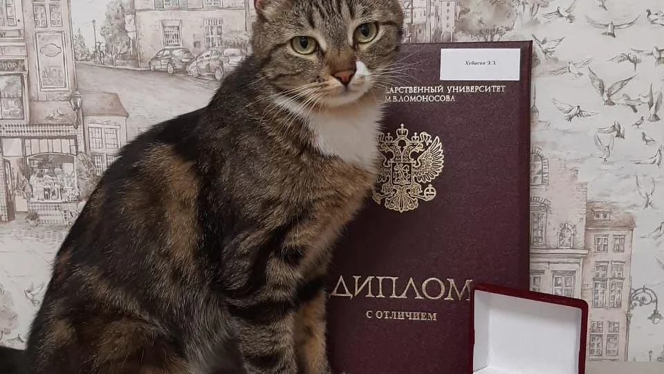 Фото: Министерство жилищной политики Московской области