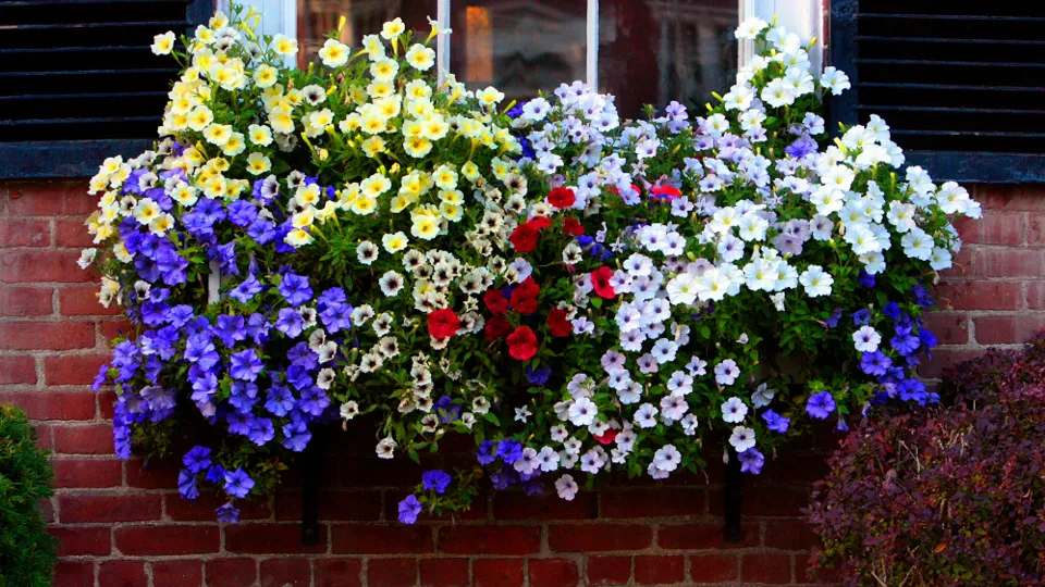 Фото: unsplash.com