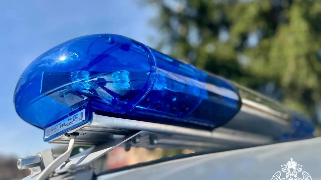 Фото: Пресс-служба ГУ Росгвардии по МО