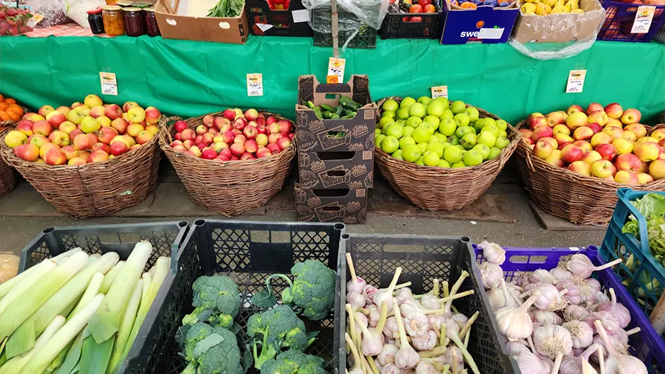 Фото: Хавива Фонина