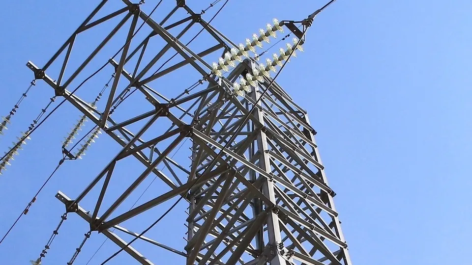 Фото: пресс-служба администрации г.о. Химки