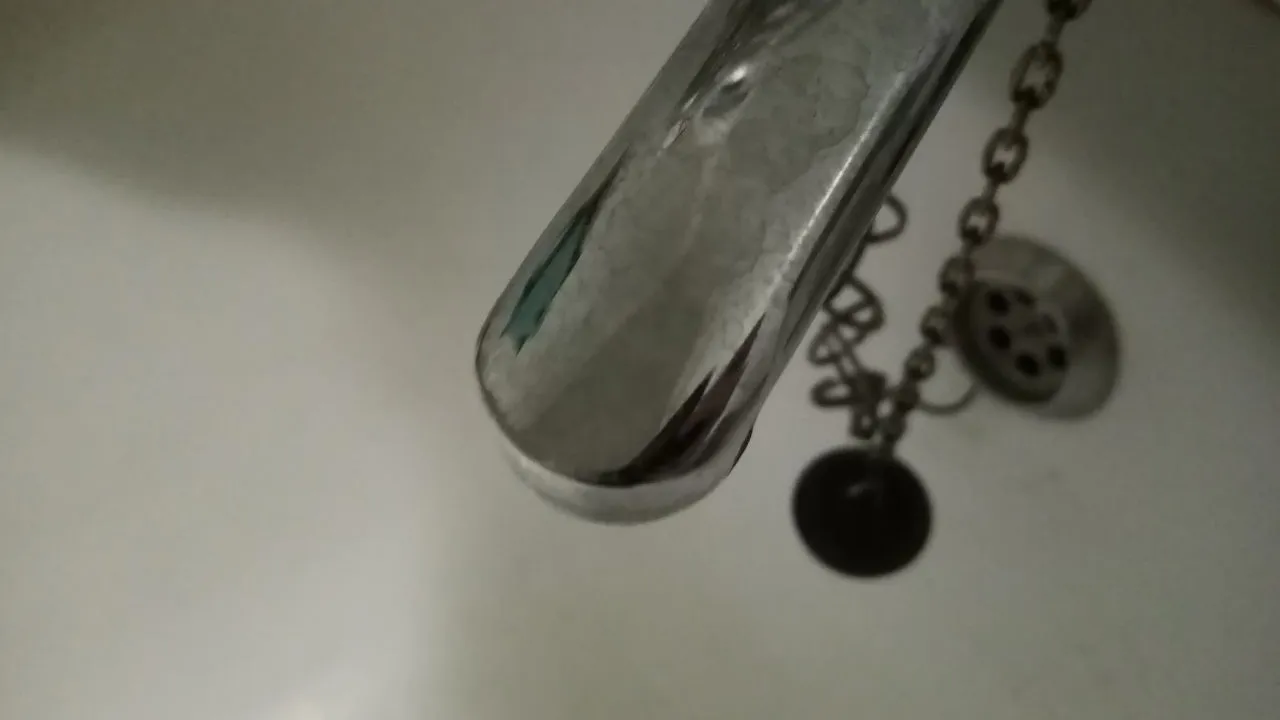 Фото: REGIONS/Василий Тремасов