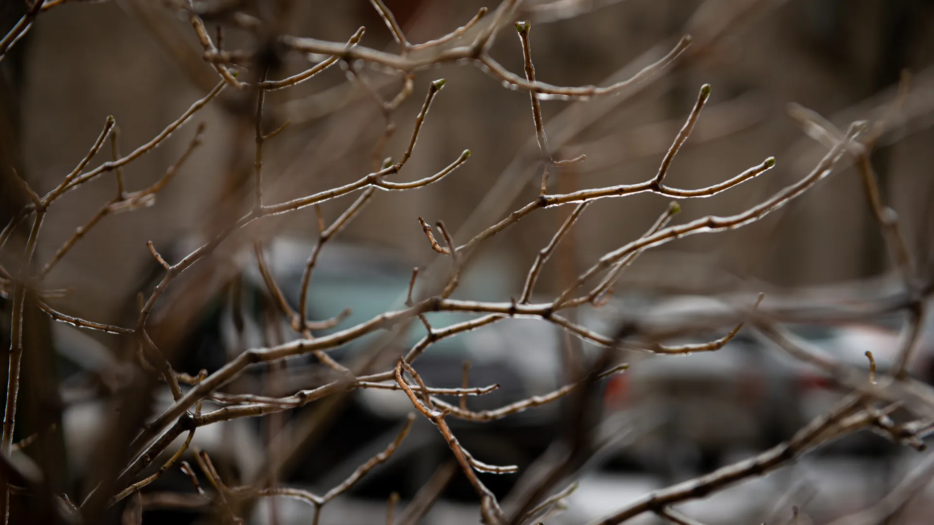 медиасток.рф