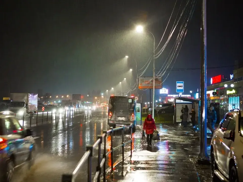 Фото: Министерство благоустройства Московской области