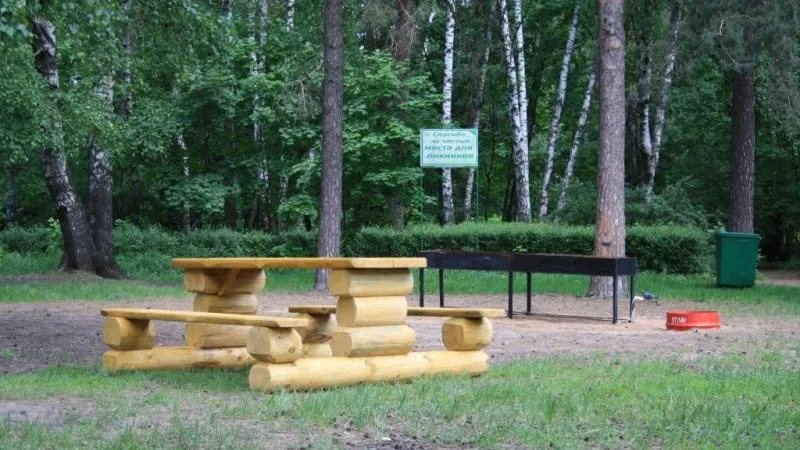 Более 1300 пикниковых зон обустроят в МО