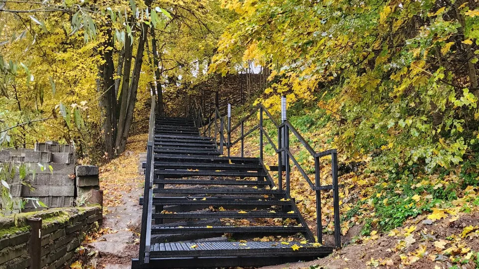 Фото: МедиаБанк Подмосковья/Екатерина Данилина