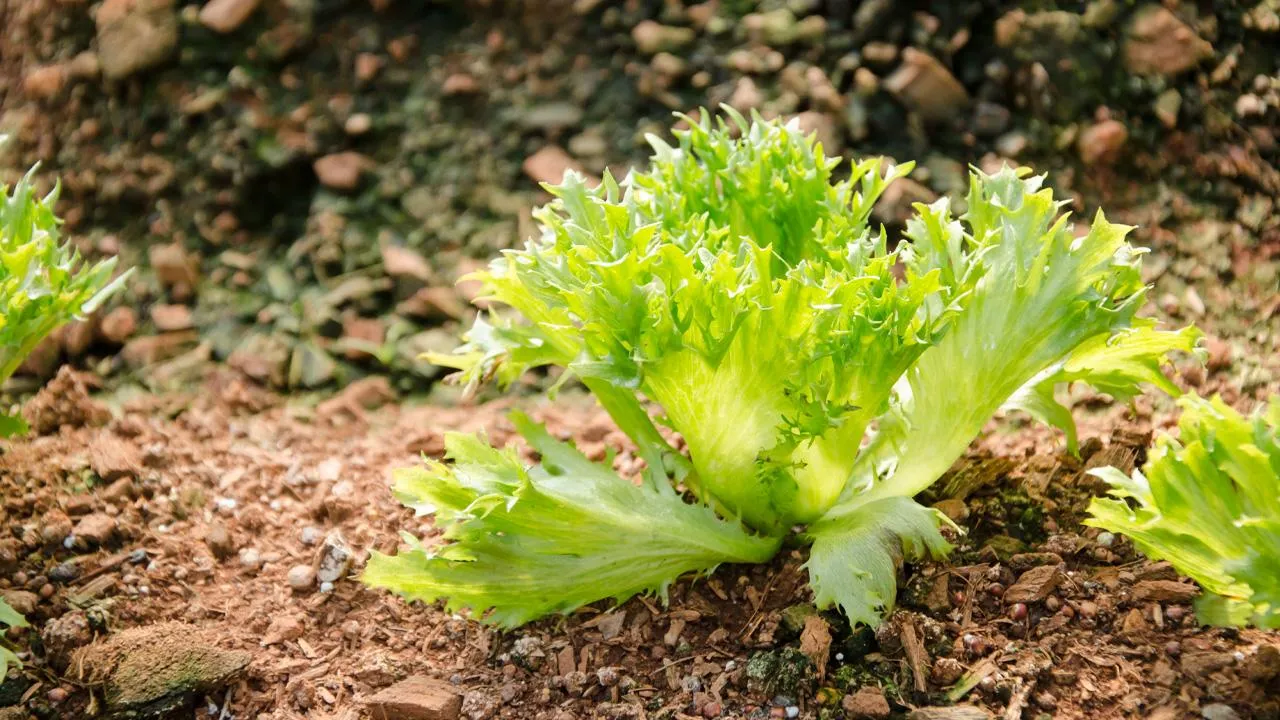 istockphoto.com/RealisticFilm