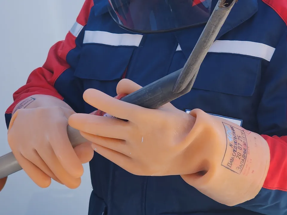 Фото: МедиаБанк Подмосковья/Хавива Фонина