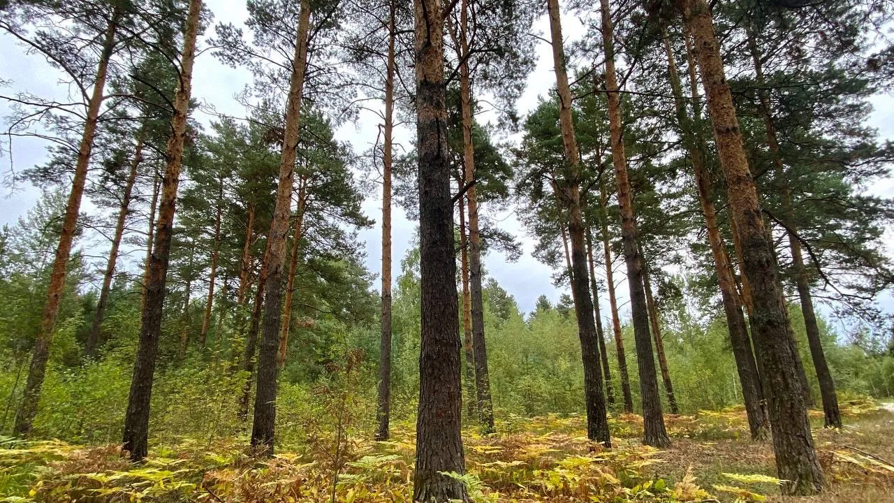 Фото: Инна Панёвина