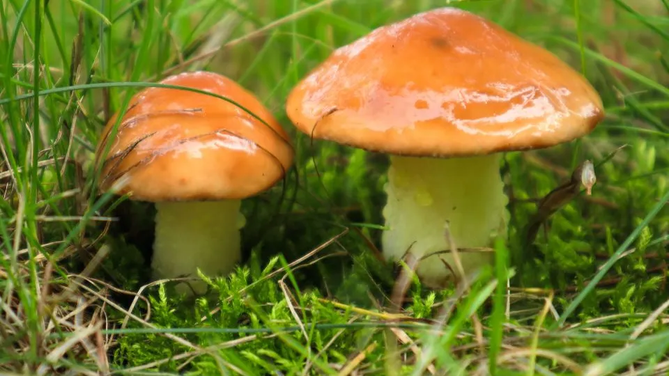 Фото: istockphoto.com