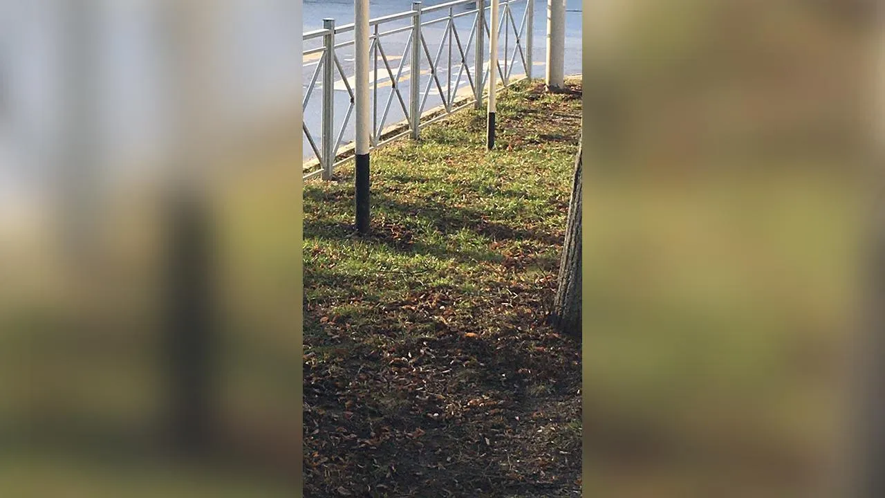 Андрей Синцов