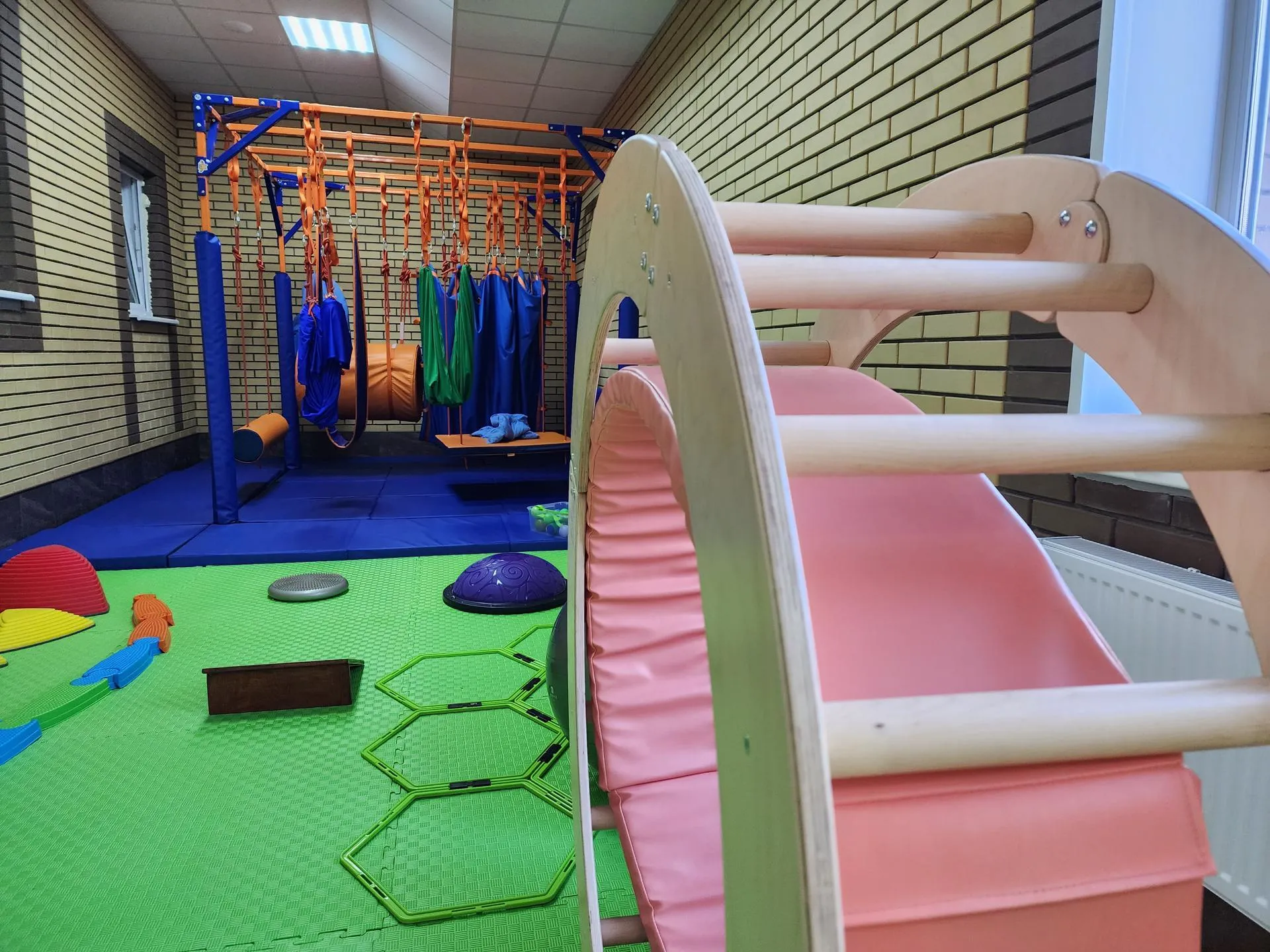 Фото: Светлана Плотникова