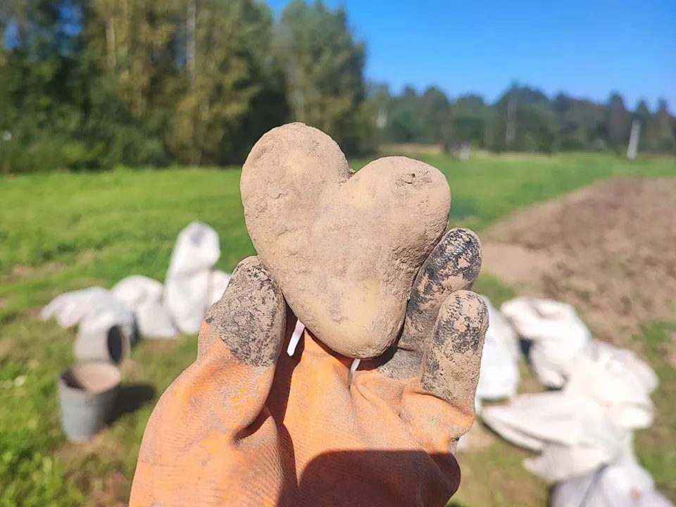 Фото:&nbsp;Мадам Квасова