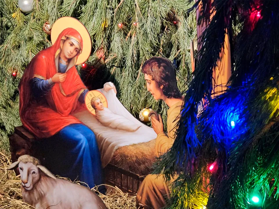 Фото: МедиаБанк Подмосковья/Вероника Горбачева