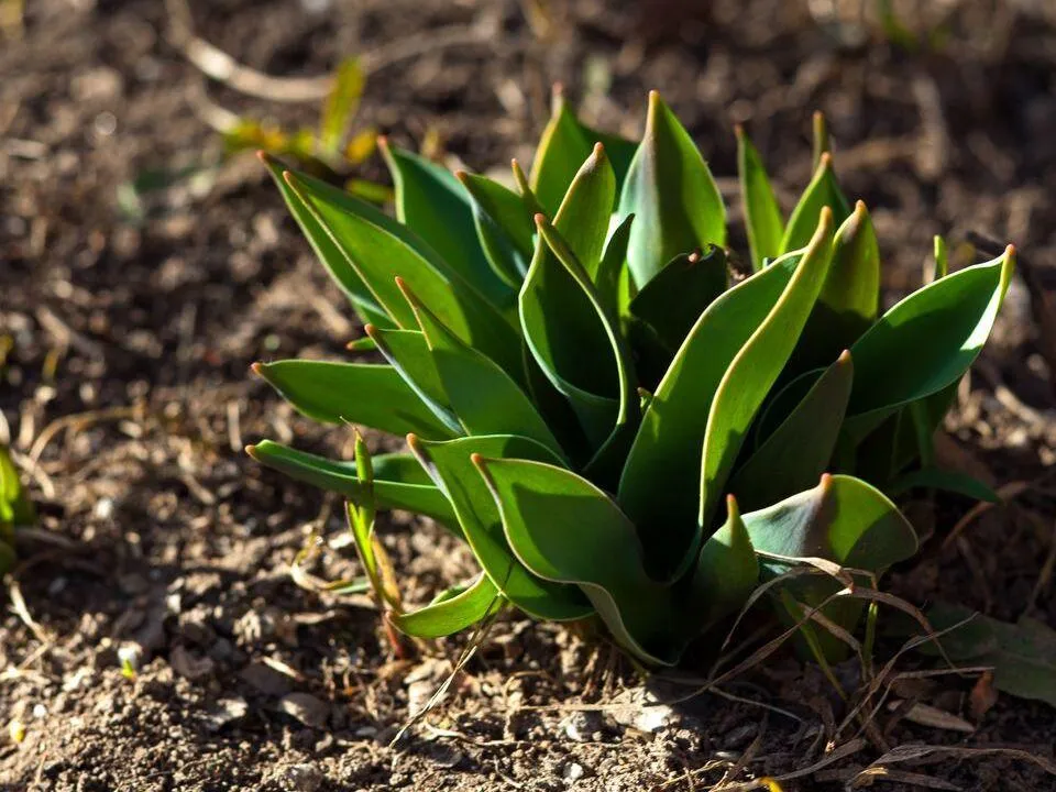 Москва и Подмосковье резко прогреются до +20 градусов: точный прогноз погоды на неделю