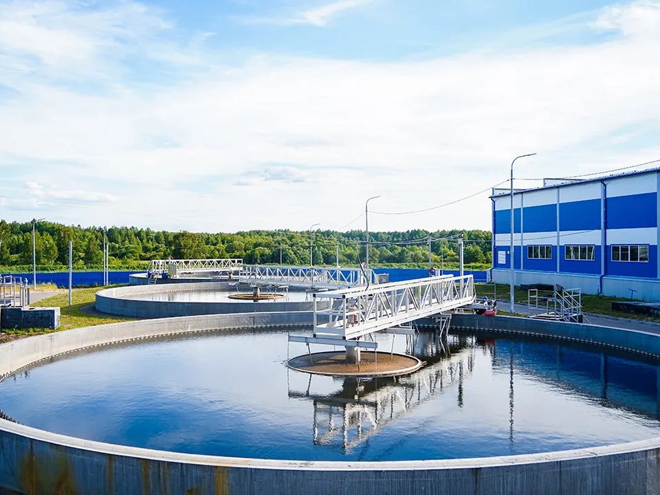 Фото: пресс-служба губернатора и правительства Московской области