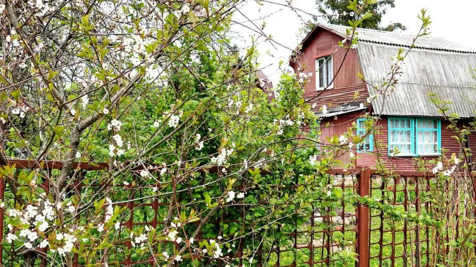 Фото: Минимущества МО