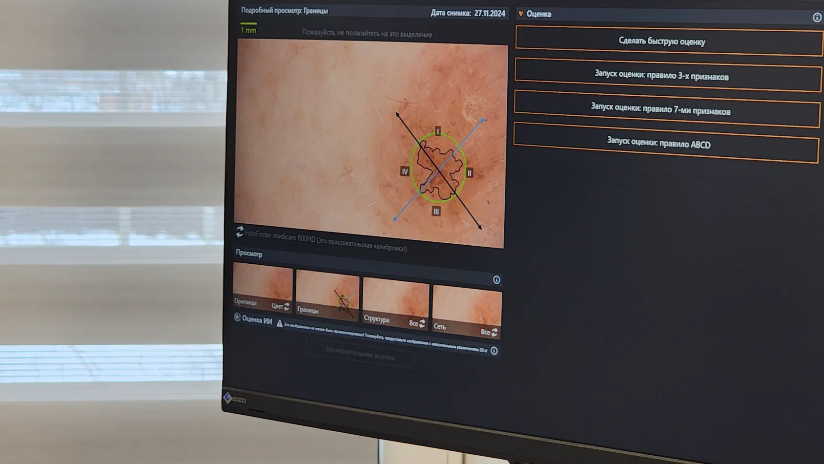 Фото: МедиаБанк Подмосковья/Валентина Максимова