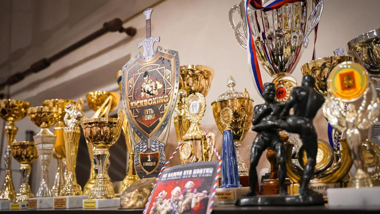 МедиаБанк Подмосковья/Данила Кирьянов