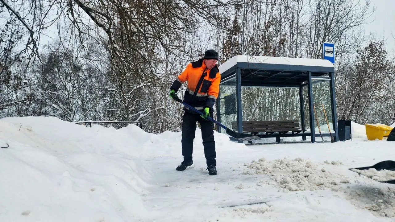 МедиаБанк Подмосковья/Мария Панина