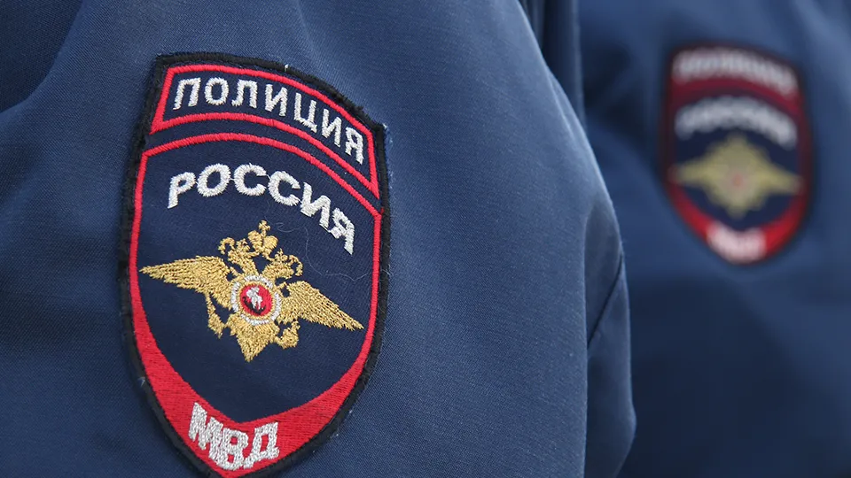 Фото: Медиаархив Подмосковья