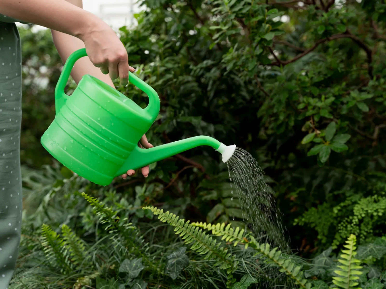 Фото: freepik.com