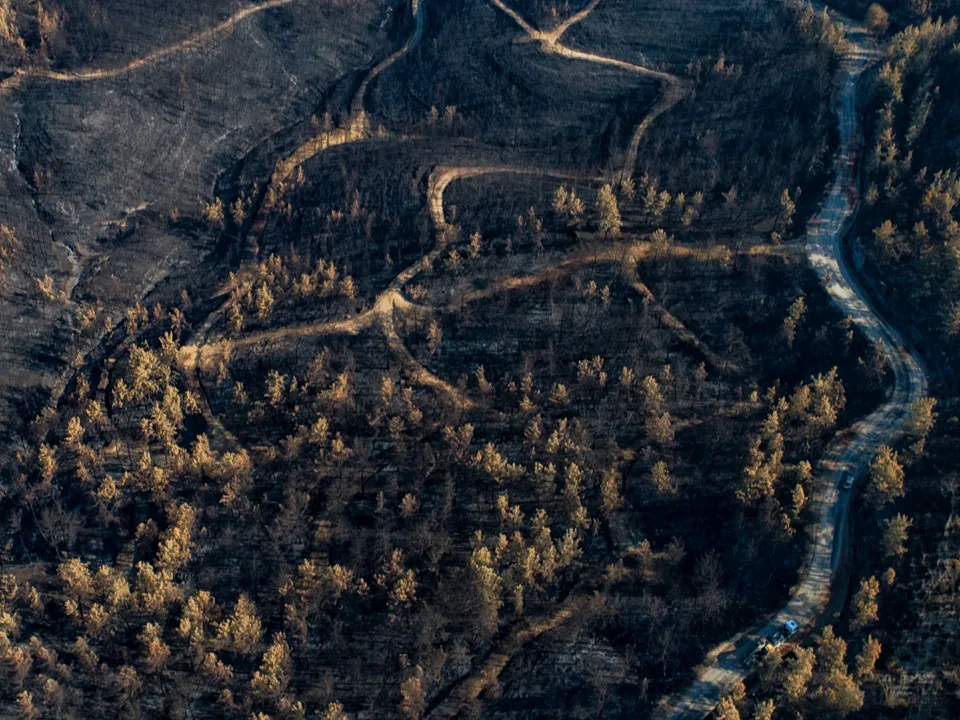 «Нужно быть внимательнее»: выяснилось, насколько безопасен отдых в Турции