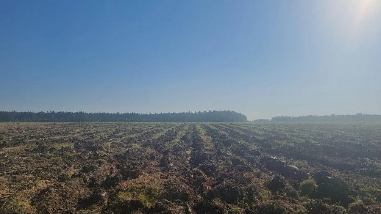 Комитет лесного хозяйства Московской области