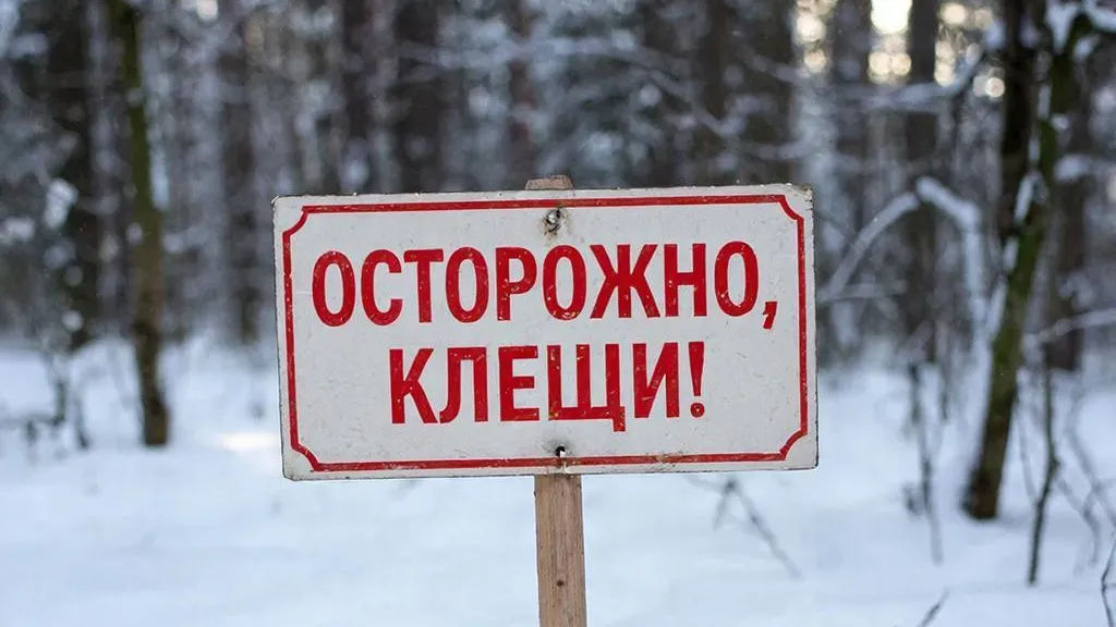 REGIONS/Сгенерировано нейросетью