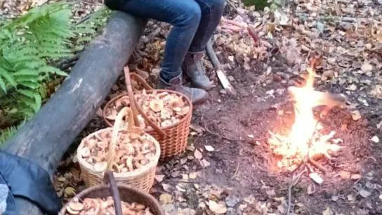 Мария Панина