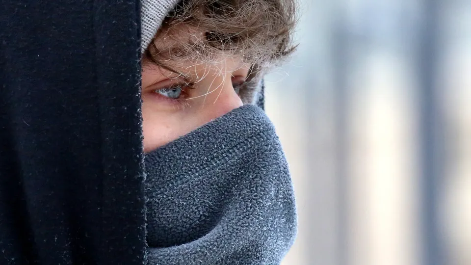 Фото: РИА Новости/Илья Наймушин